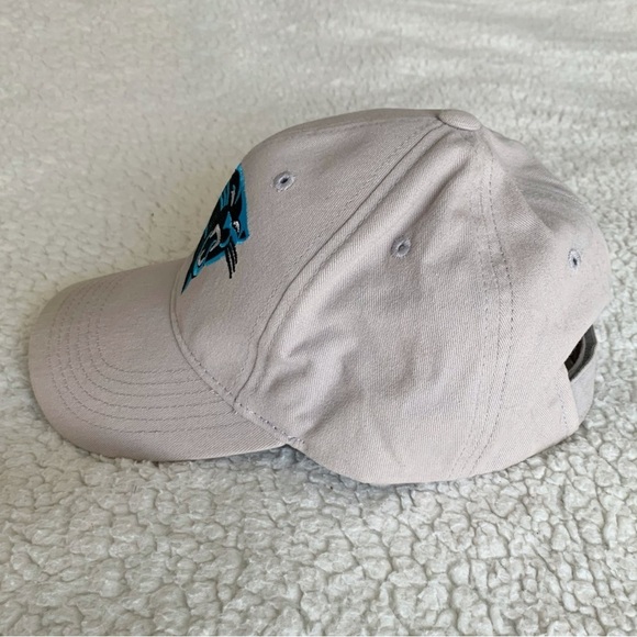 Carolina Panthers NFL Ball Cap Gray Logo Adjustable Hat Football Sports - Picture 3 of 9